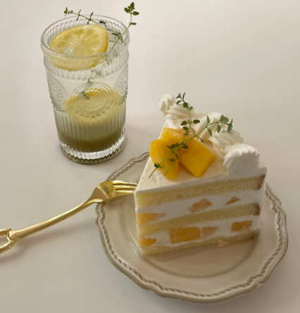 [서초구 양재동] 카페 마몽드