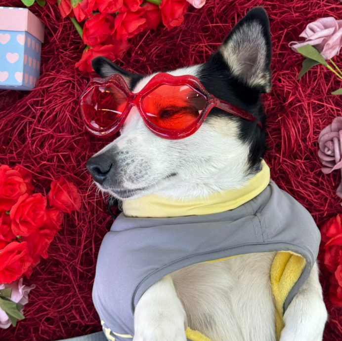 [서대문구 가좌역] 놀러오개 서대문점