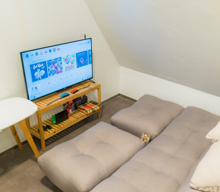 [홍대입구역] 고양이멀티카페 마오