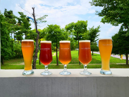 [속초 조양동] 웍스터 속초마리나