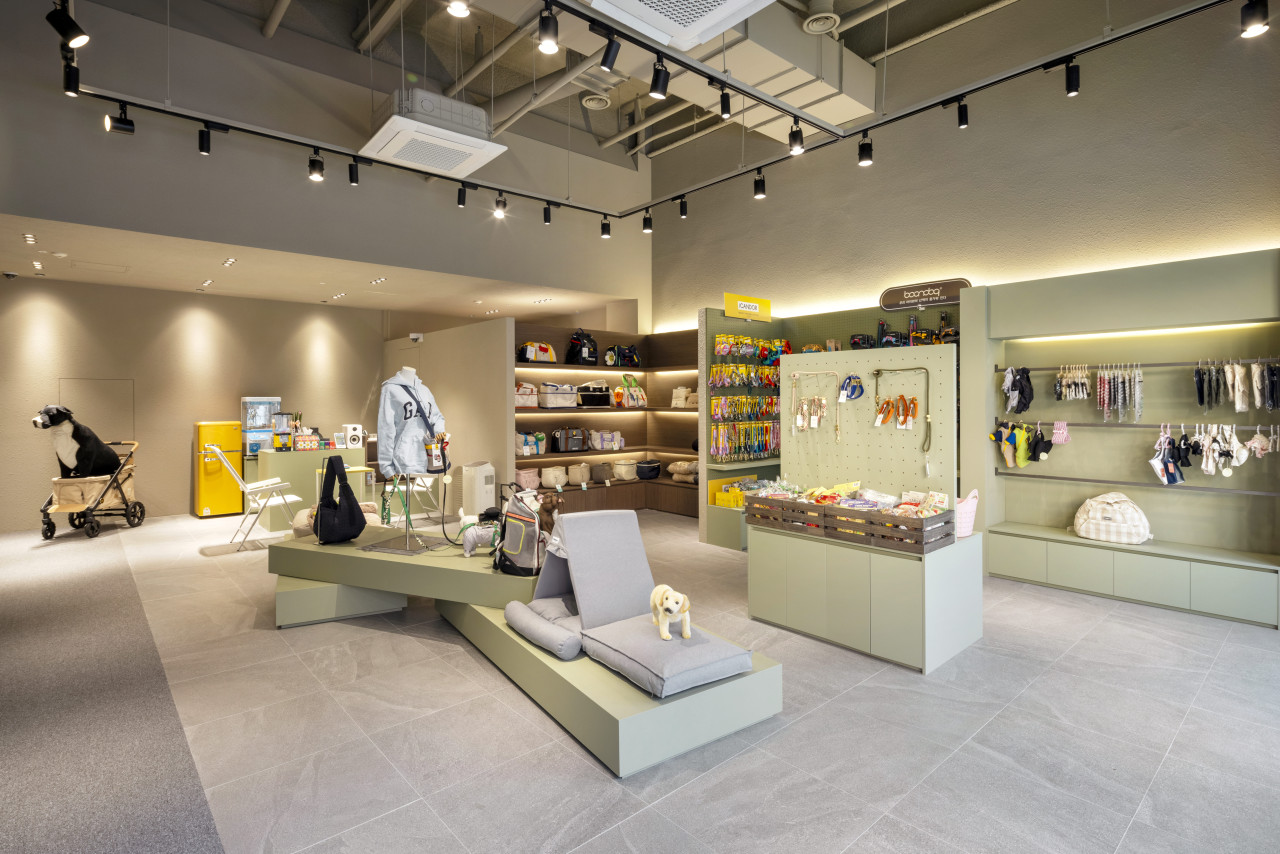 [일산 주엽역] 펫워크