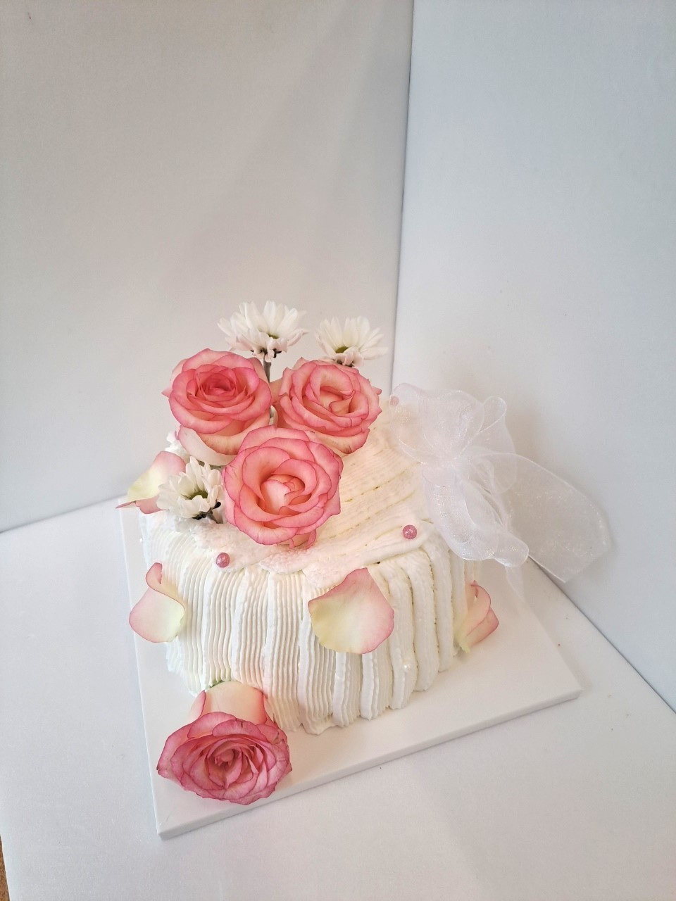 [남양주 화도] 설스 케이크