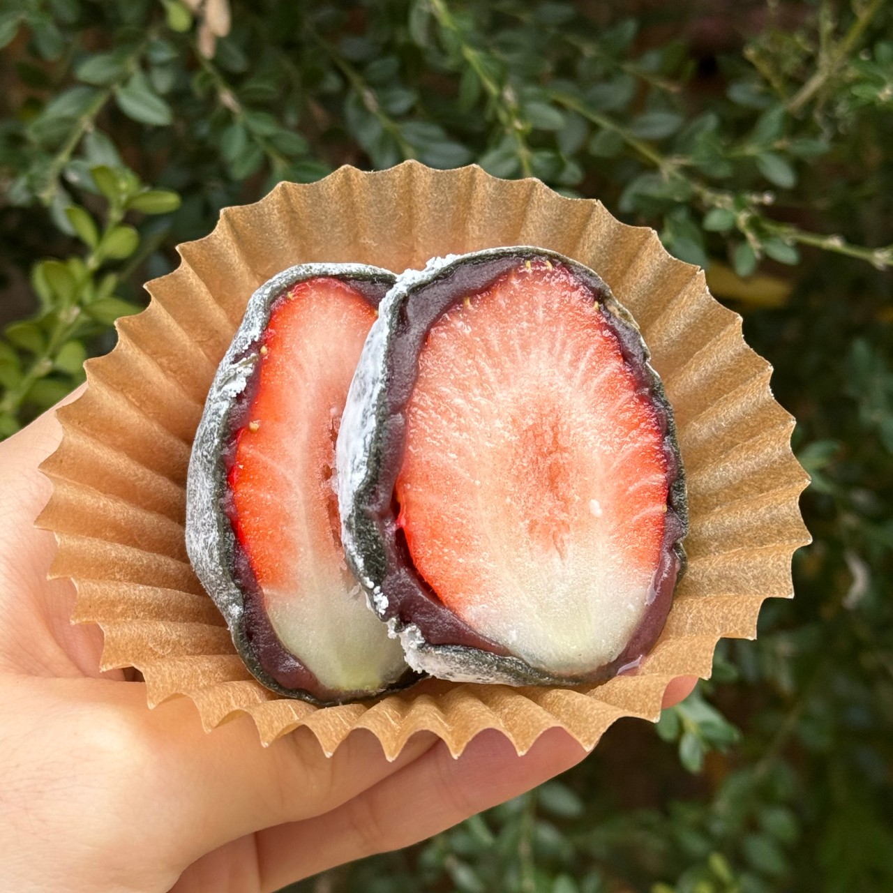 [광주 쌍촌역] 등화