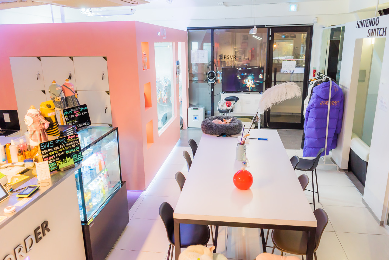 [홍대입구역] 고양이멀티카페 마오