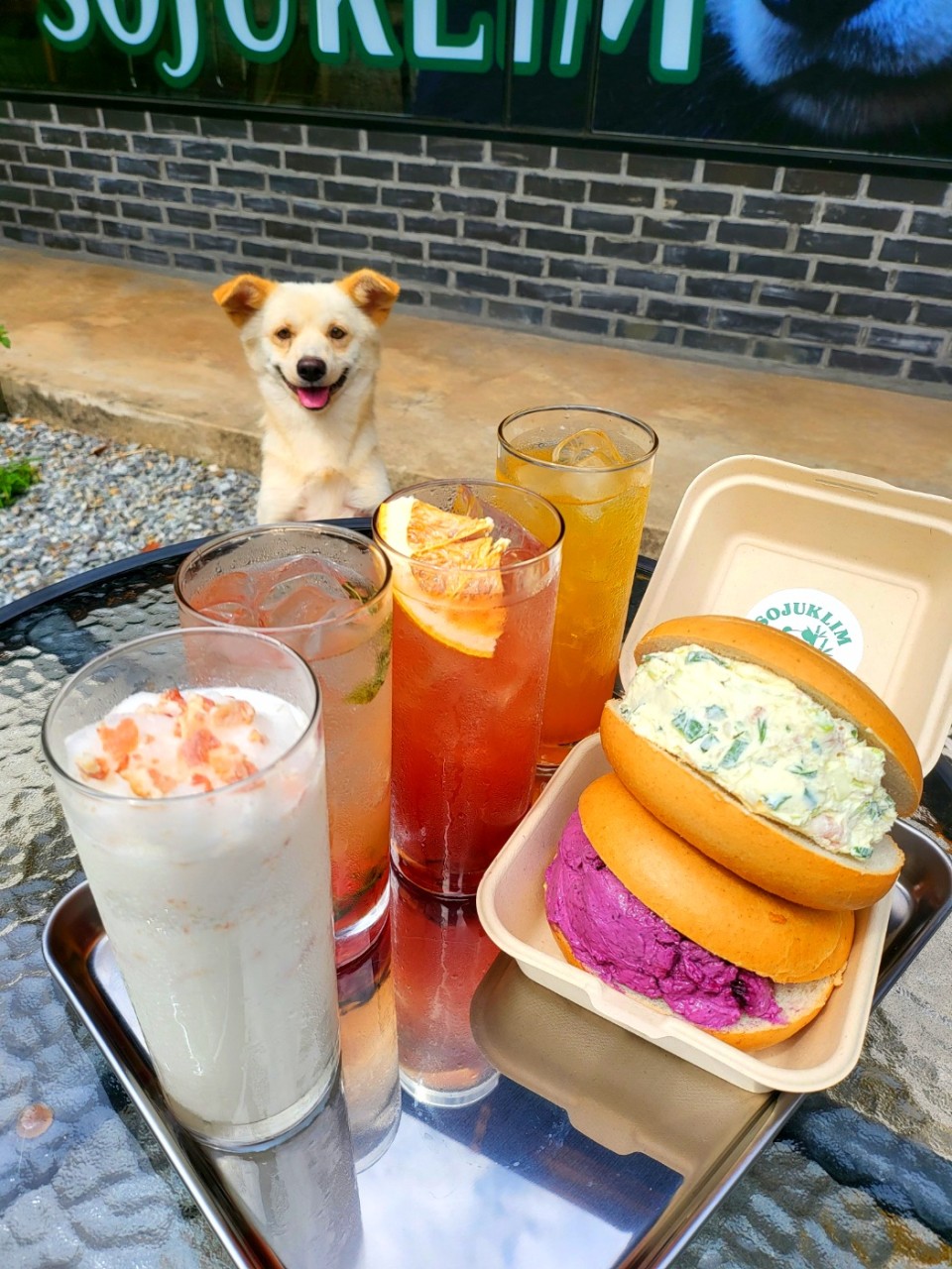 [광주 이장동] 소죽림