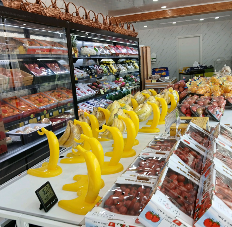 [속초 교동] 쭌과일가게