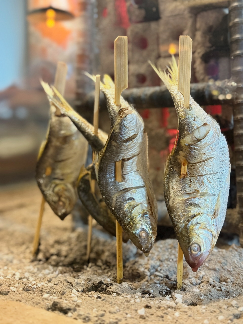 [회기역] 이로리야