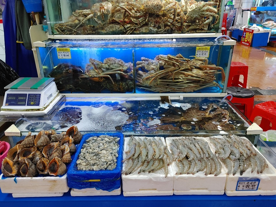 [노량진역] 남도해물