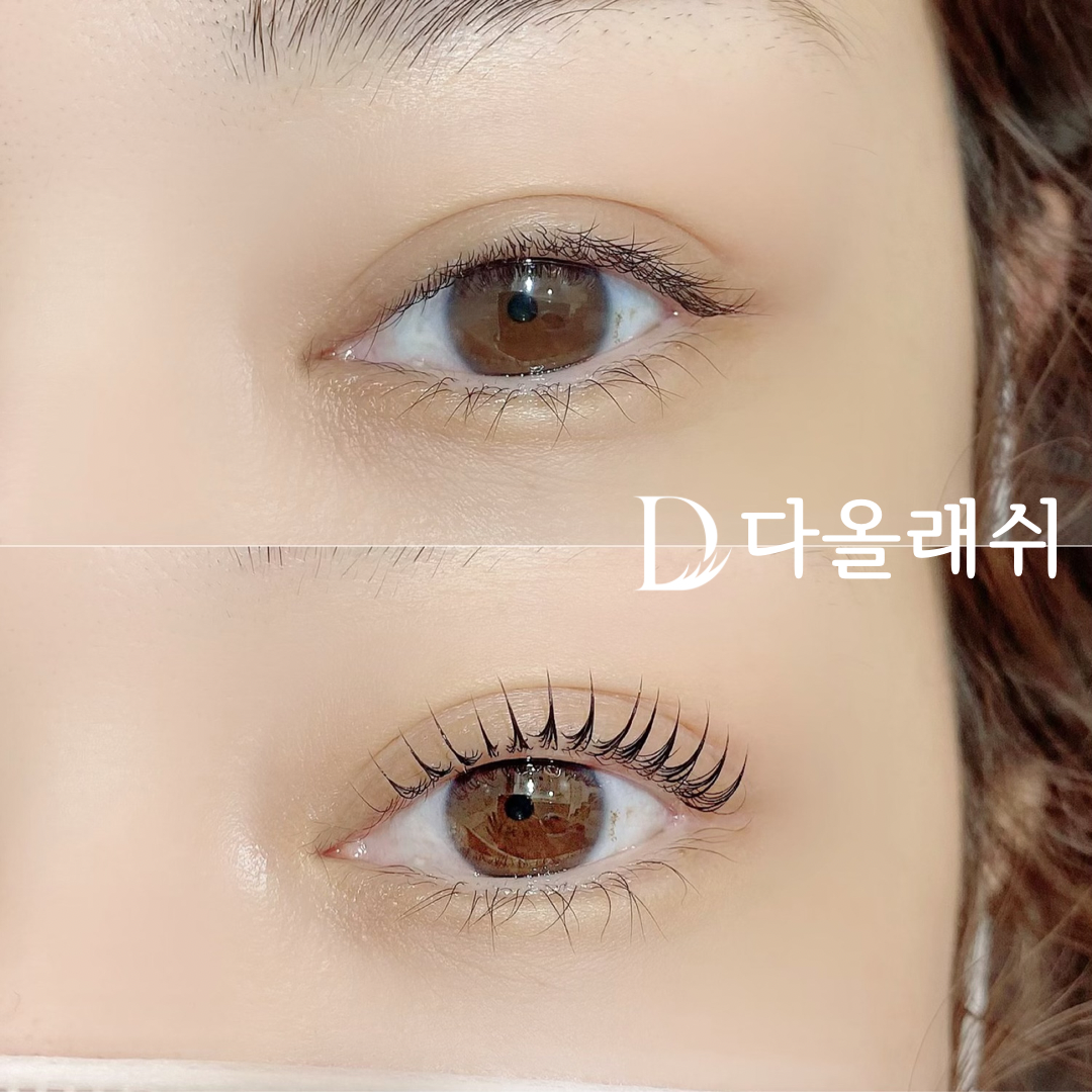 [강남역] 다올래쉬