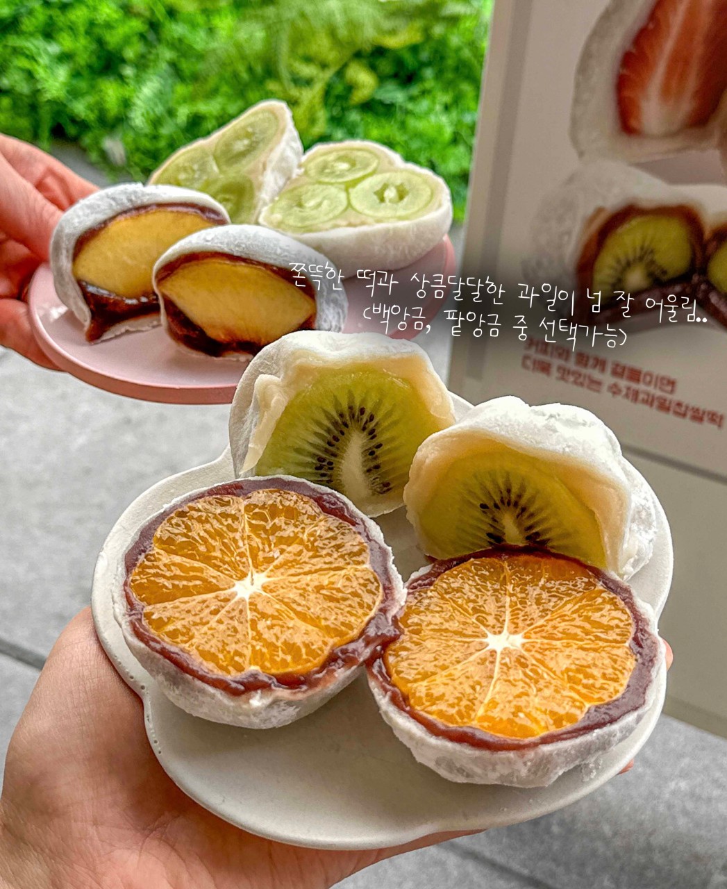 [광주 쌍촌역] 등화