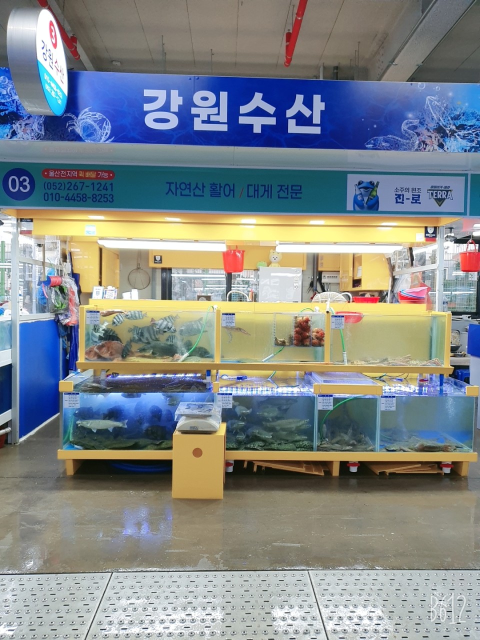 [울산 야음동] 강원수산 수암회수산시장점