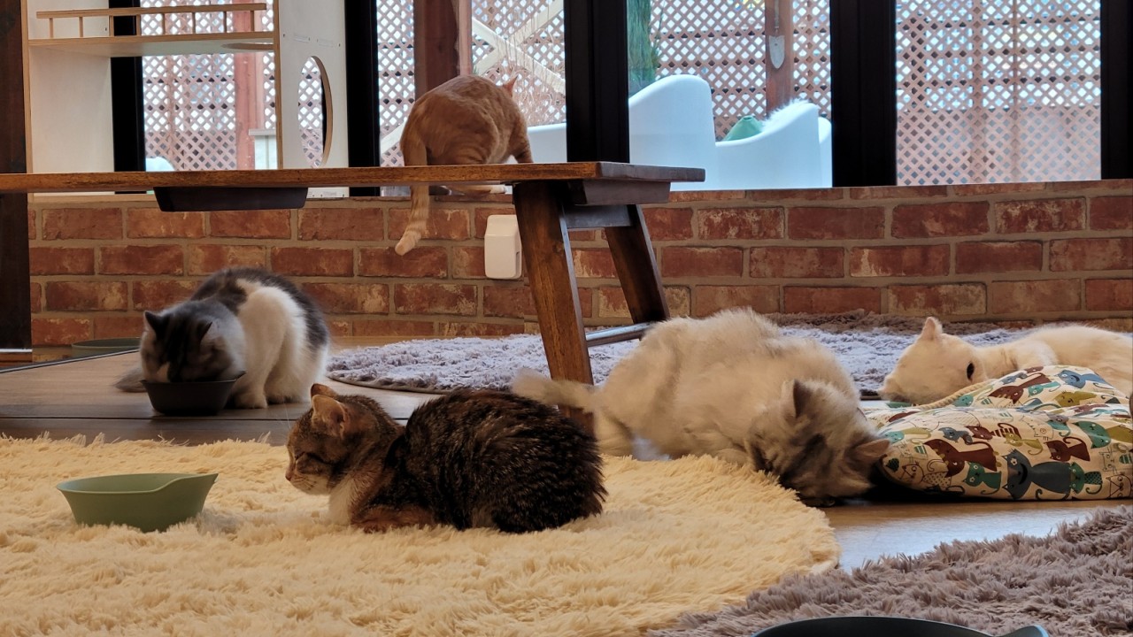 [대구 반월당역] 집사의하루 동성로점