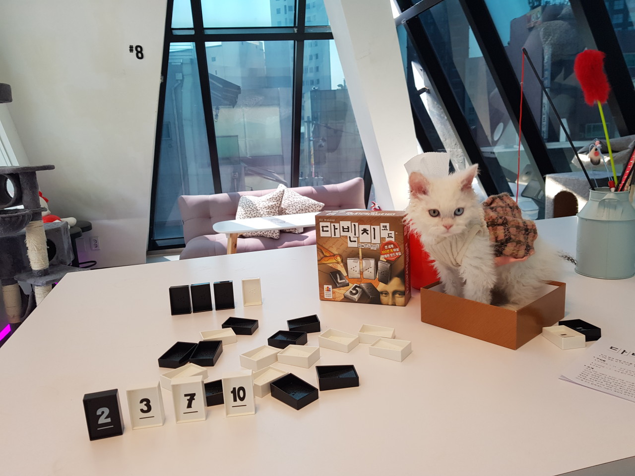 [홍대입구역] 고양이멀티카페 마오
